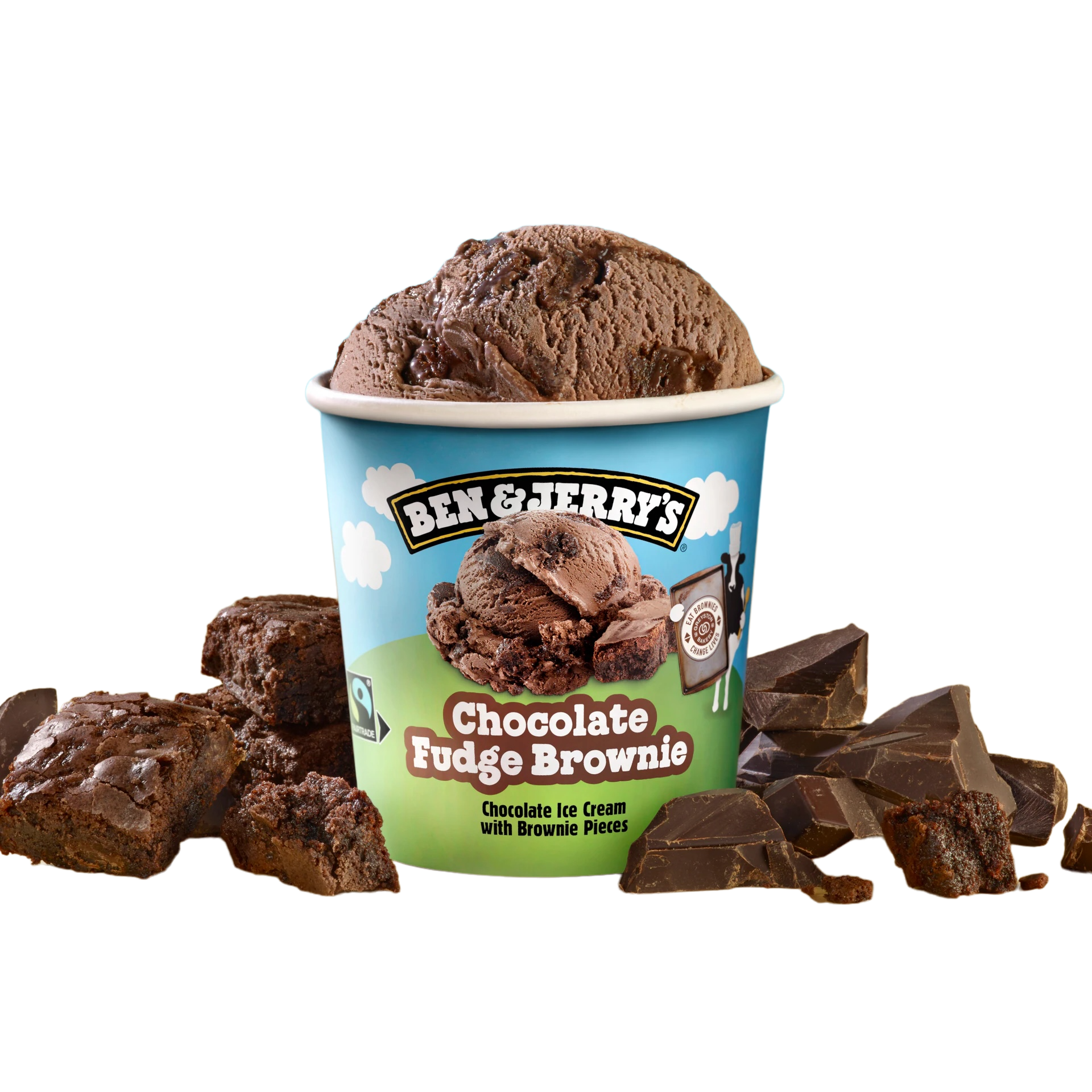 Ben & Jerry's Chocolate Fudge Brownie